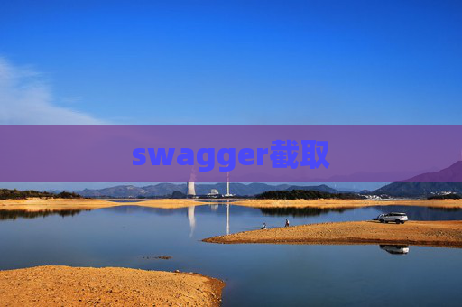 swagger截取